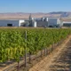 cover agrostar