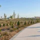 gazli park cover
