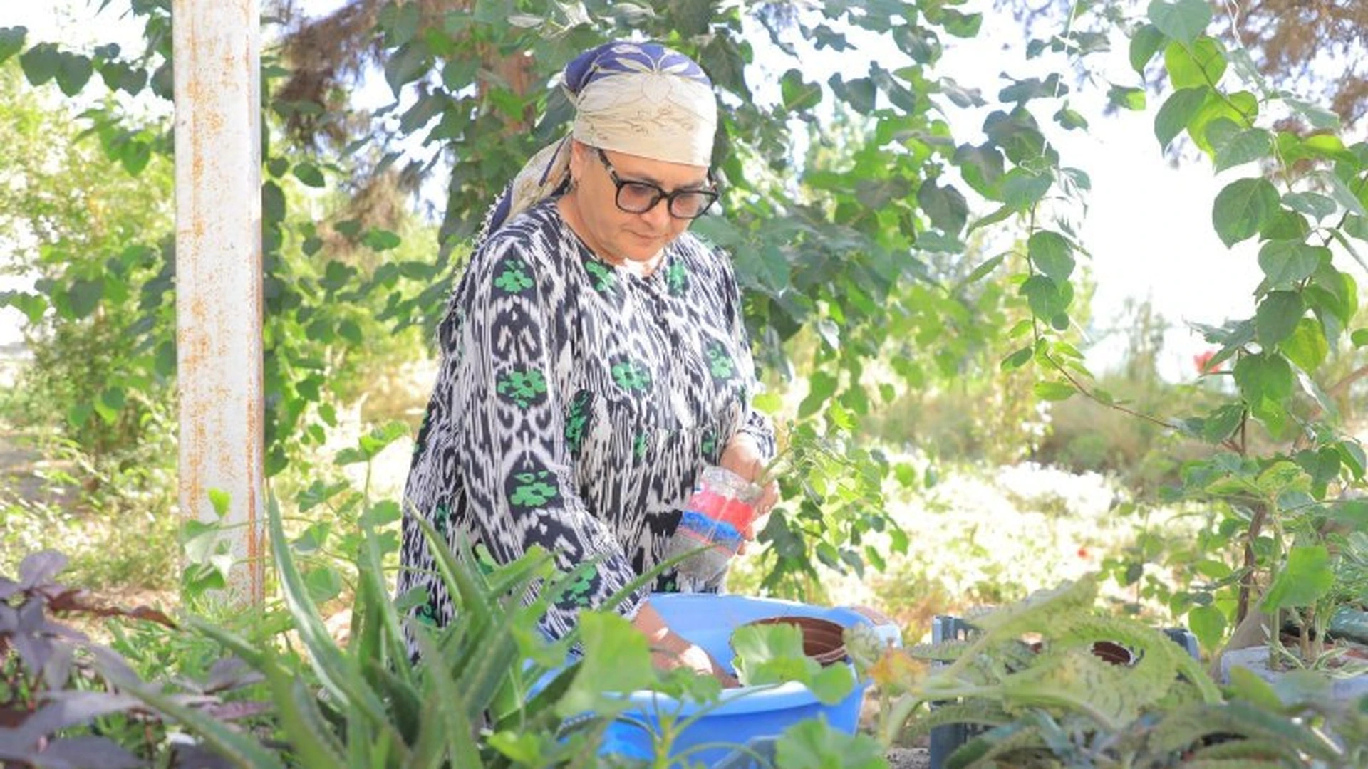 Farida Haqqiyeva gul parvarishlamoqda