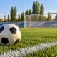 14 football cover