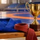 20 kurash cover