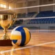 24 volley cover