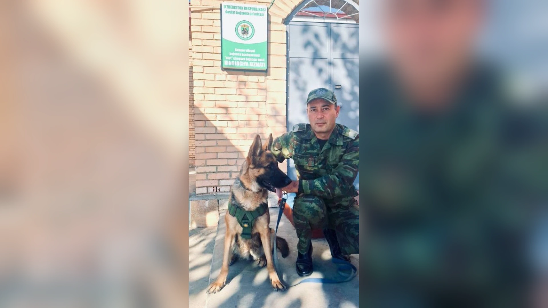 Bojxona boşqarmasi taqdim etgan Munçoq xizmat itining asl fotosurati